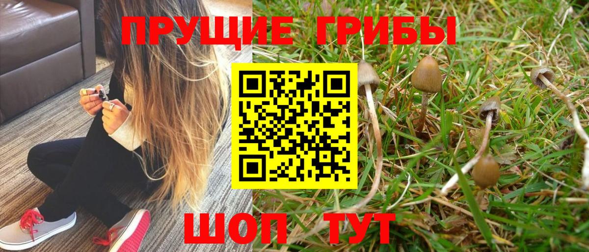 Псилоцибиновые грибы GOLDEN TEACHER Альметьевск