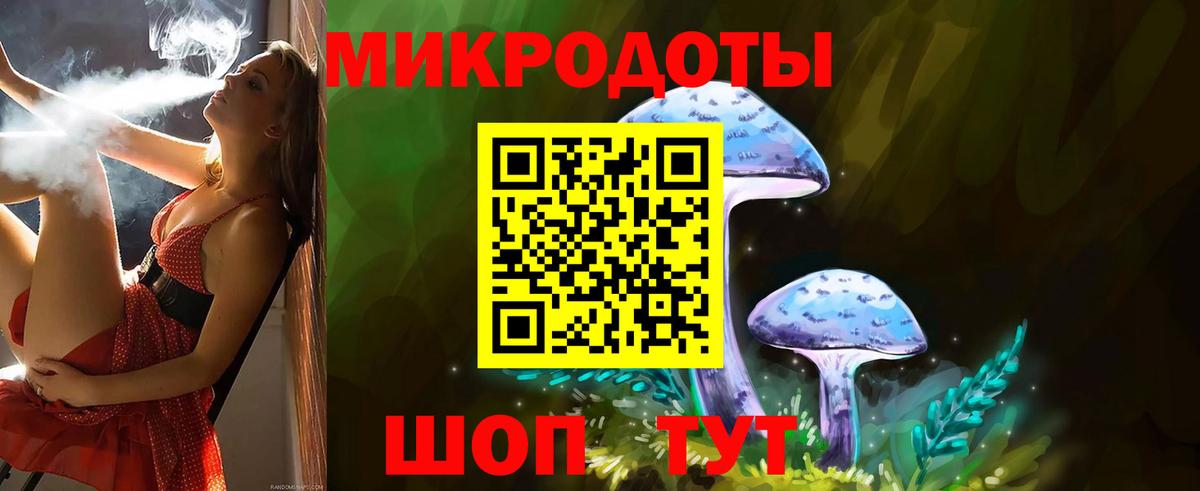 Альметьевск  Галлюциногенные грибы Psilocybe  Вход с VPN 